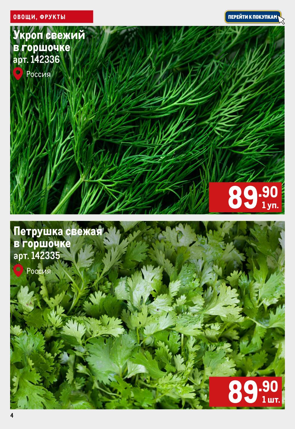 Укроп свежий в горшочке - 89.9р, петрушка свежая в горшочке - 89.9р. Российская зелень для ваших блюд. Всегда свежее.